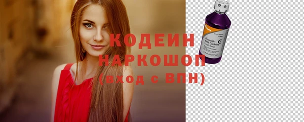 амф Верея