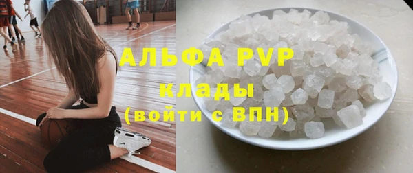 мяу мяу мука Надым