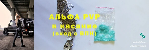 прущие грибы Навашино
