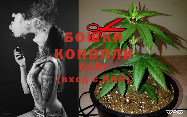 прущие грибы Навашино
