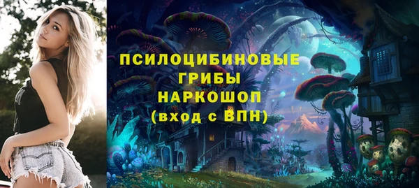 прущие грибы Навашино