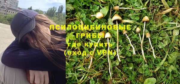 прущие грибы Навашино
