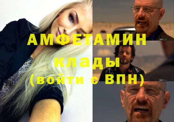 прущие грибы Навашино