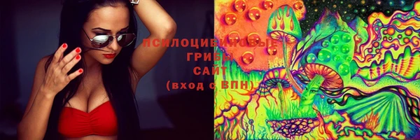 прущие грибы Навашино