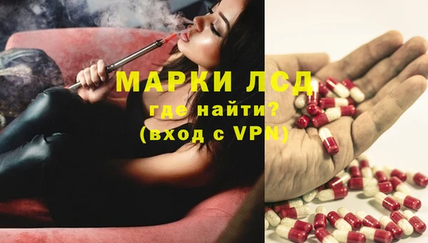 мяу мяу мука Надым