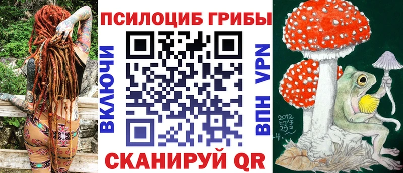 купить  сайты  shop Telegram  Псилоцибиновые грибы Psilocybine cubensis  Благовещенск 