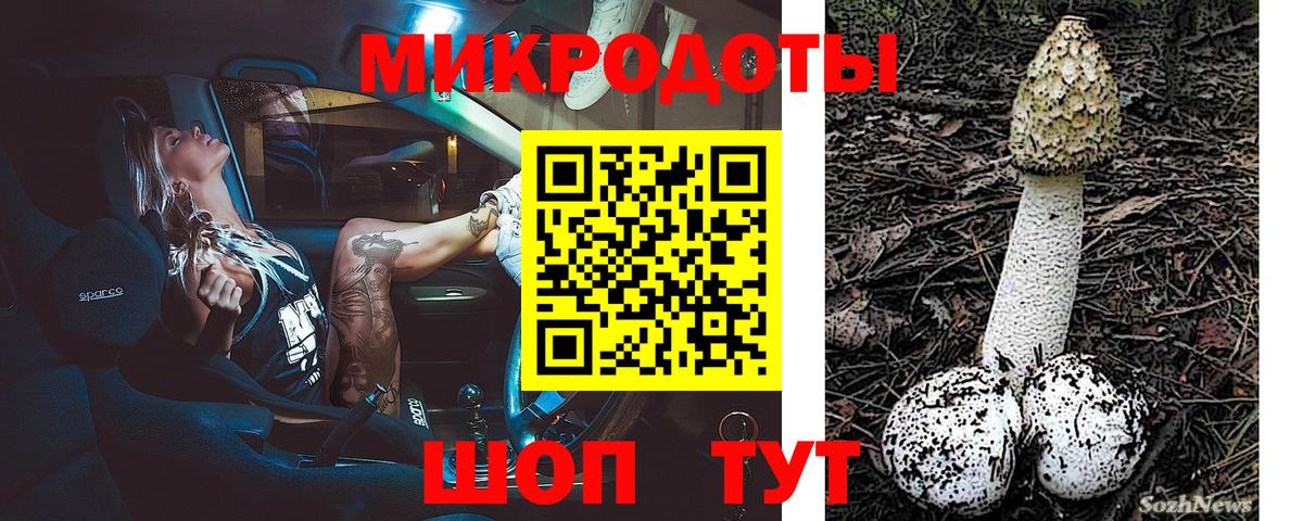 Галлюциногенные грибы мицелий  Вход с VPN  Благовещенск 